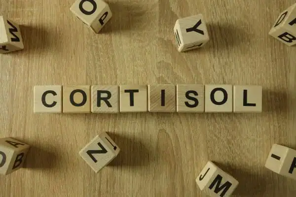 The Hidden Connection: How Stress Shapes Your Fitness and Body Composition 2 Image saying "Cortisol" and how stress Hatfield impacts your wellbeing and bodies shape